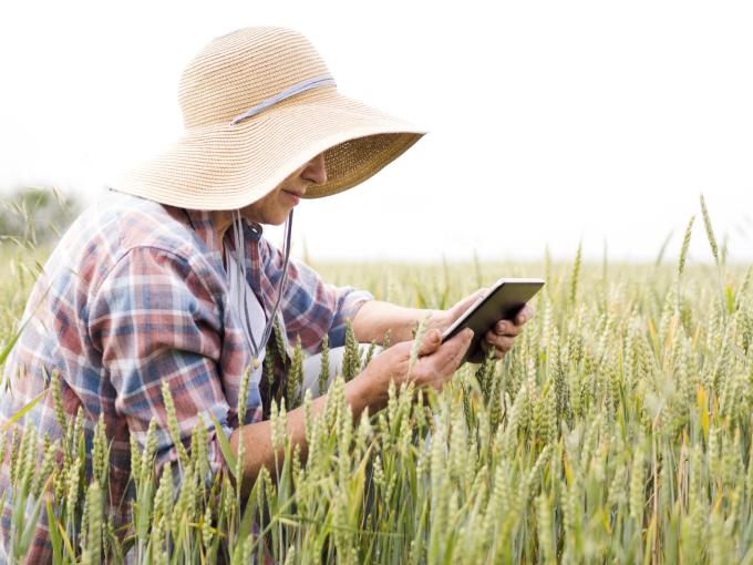Palabras clave para optimizar el SEO de tu pyme agrícola